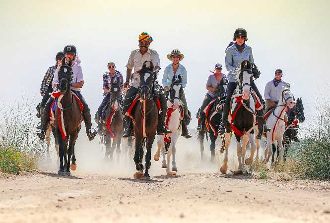 Horse Safari In Jaipur